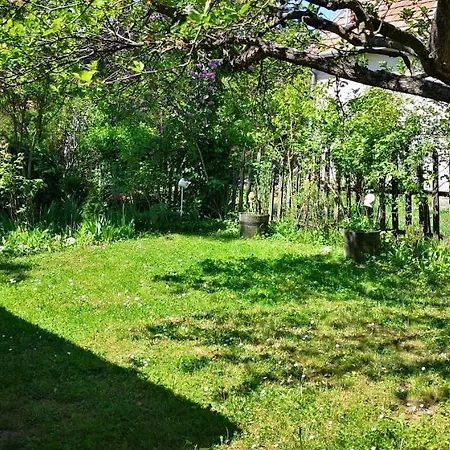 Appartamento Apartman 1 *